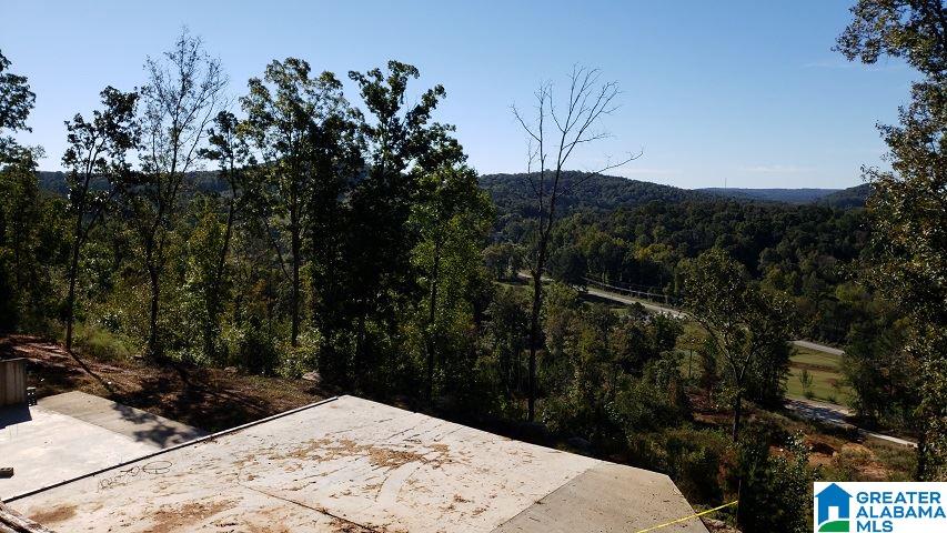 115 Tidmore Lane Oneonta, AL 35121 - Photo 23 of 32