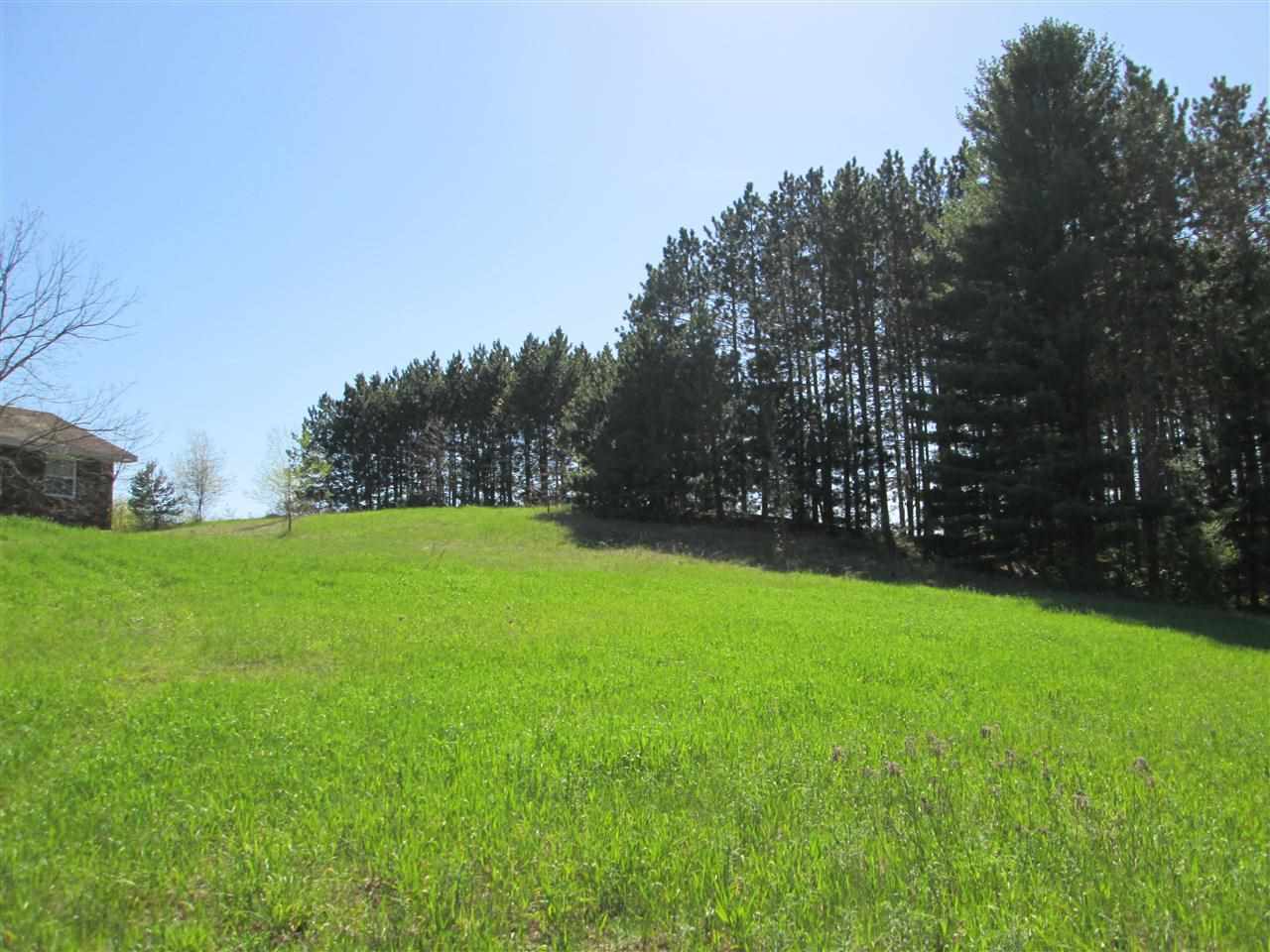 1300 Tyler Road Southeast Kalkaska, MI 49646 - Photo 13 of 63 1785022-12.JPG