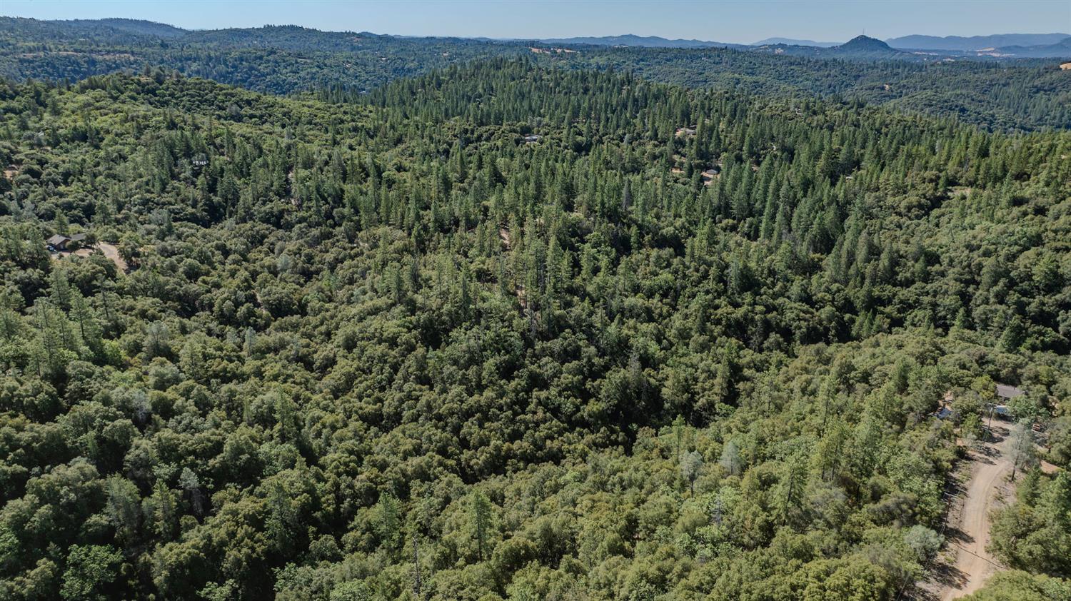 0 Manzanita Road Sutter Creek, CA 95685 - Photo 15 of 28 a view of a lush green forest with lush green forest