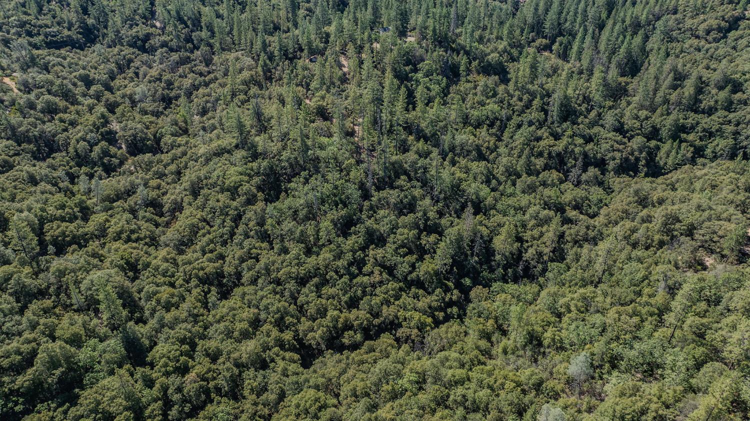 0 Manzanita Road Sutter Creek, CA 95685 - Photo 16 of 28