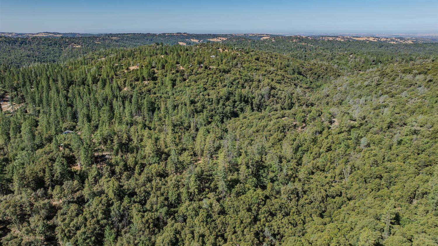 0 Manzanita Road Sutter Creek, CA 95685 - Photo 17 of 28 a view of a green field with lots of bushes
