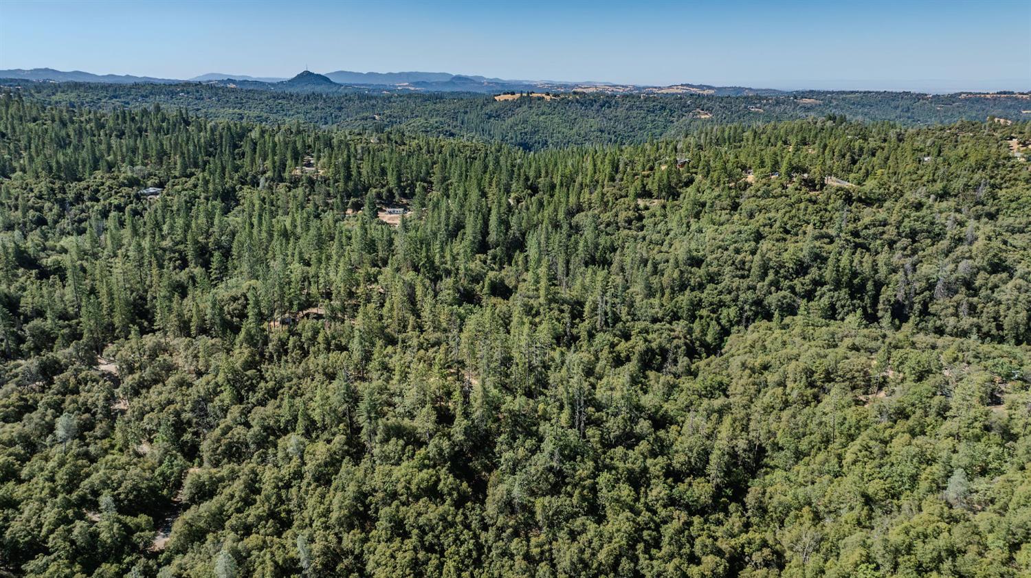 0 Manzanita Road Sutter Creek, CA 95685 - Photo 18 of 28 a view of a lush green forest with a lush green hillside and a houses