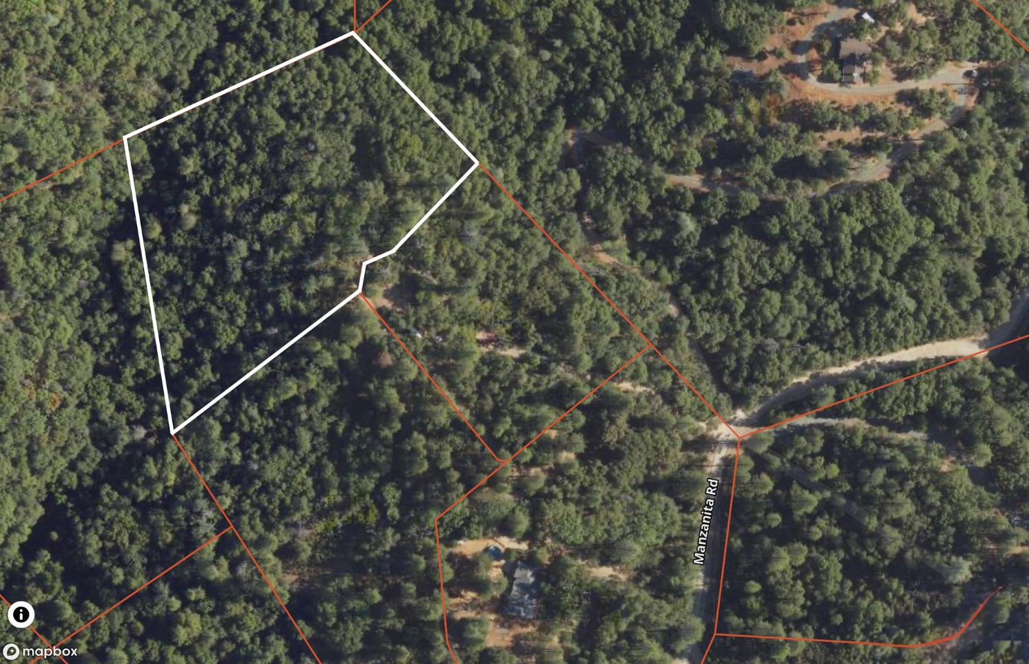 0 Manzanita Road Sutter Creek, CA 95685 - Photo 19 of 28 a view of a forest with a tree