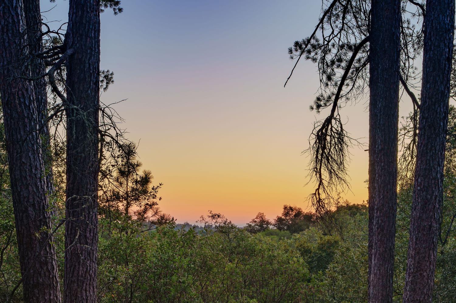 0 Manzanita Road Sutter Creek, CA 95685 - Photo 20 of 28 a view of a tree in a yard