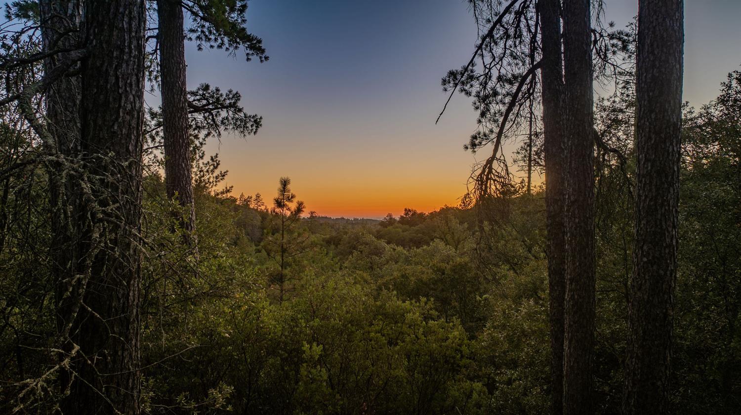 0 Manzanita Road Sutter Creek, CA 95685 - Photo 2 of 28 a view of a yard