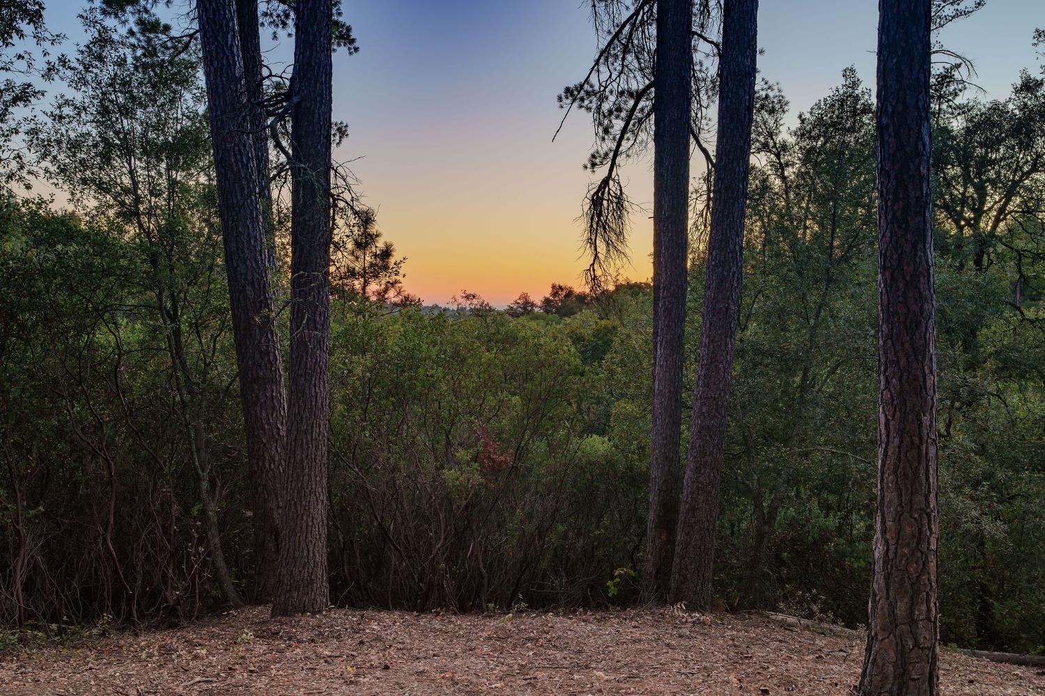 0 Manzanita Road Sutter Creek, CA 95685 - Photo 21 of 28 a view of a forest