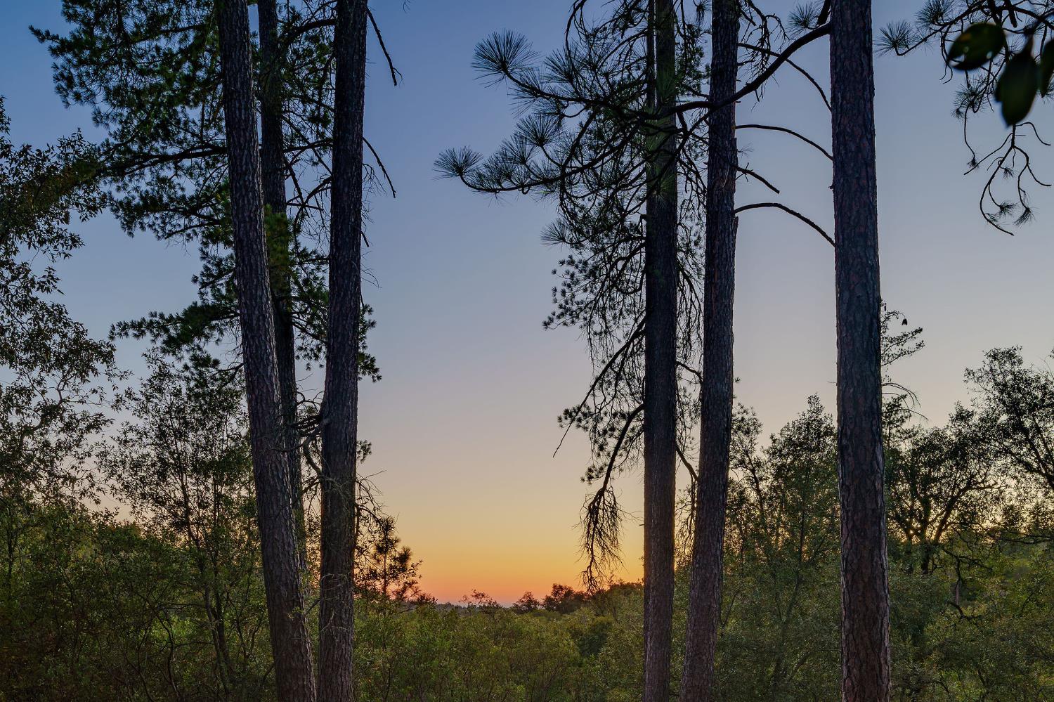 0 Manzanita Road Sutter Creek, CA 95685 - Photo 22 of 28 a view of a forest