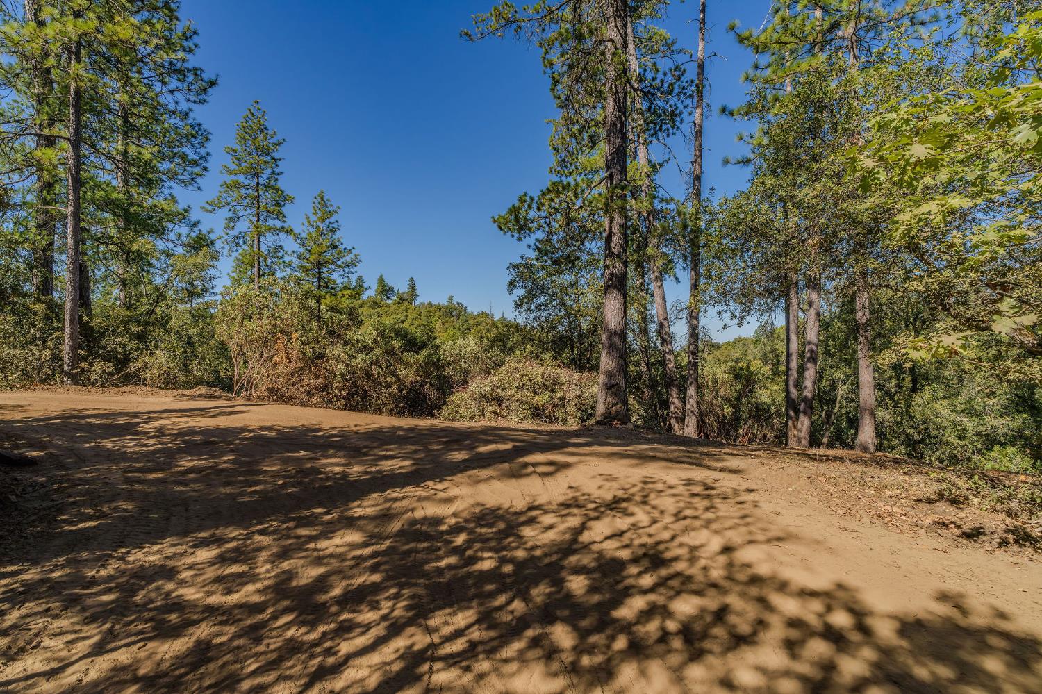 0 Manzanita Road Sutter Creek, CA 95685 - Photo 4 of 28 a view of road space with large trees