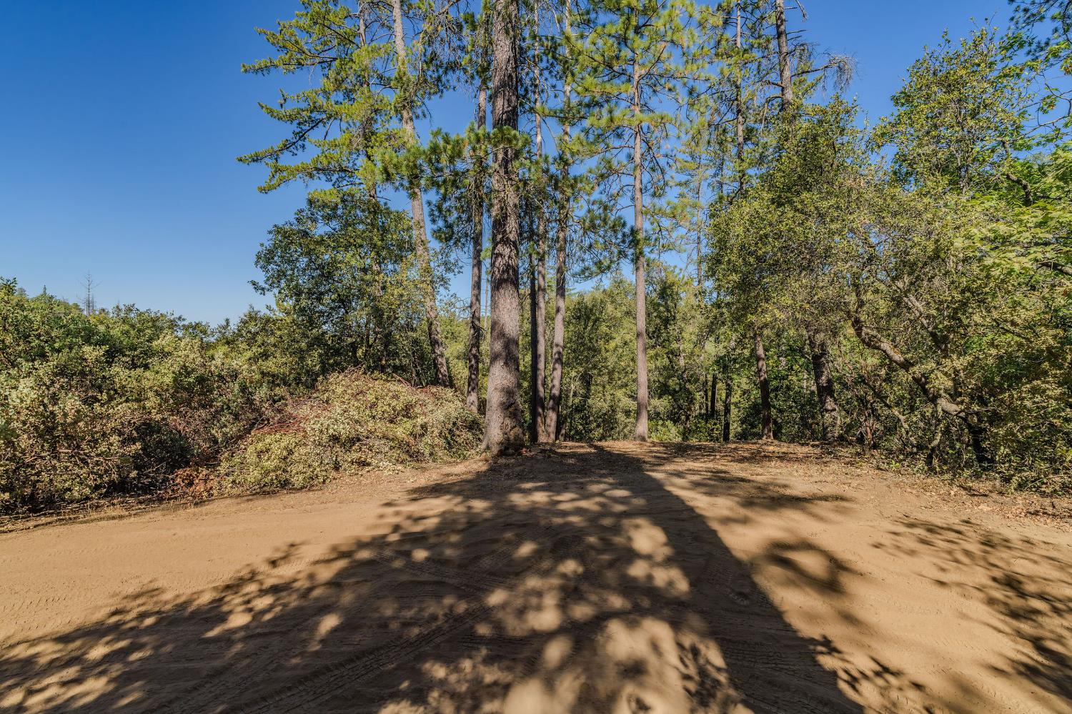 0 Manzanita Road Sutter Creek, CA 95685 - Photo 5 of 28 a view of a yard with trees