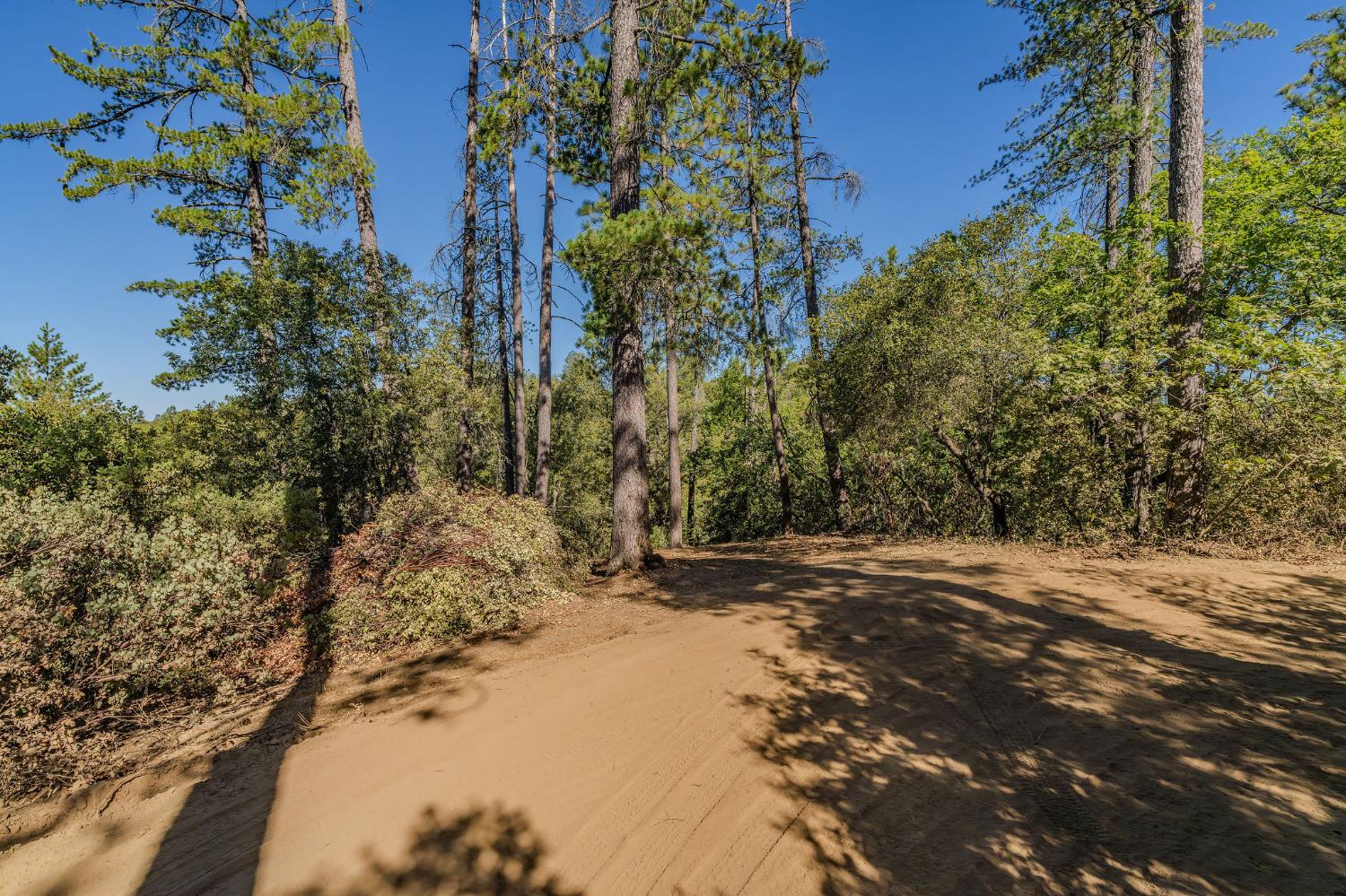 0 Manzanita Road Sutter Creek, CA 95685 - Photo 6 of 28 a view of a yard with plants and trees