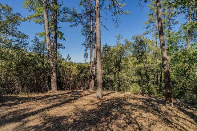 $47,500 | 0 Manzanita Road, Sutter Creek, CA 95685