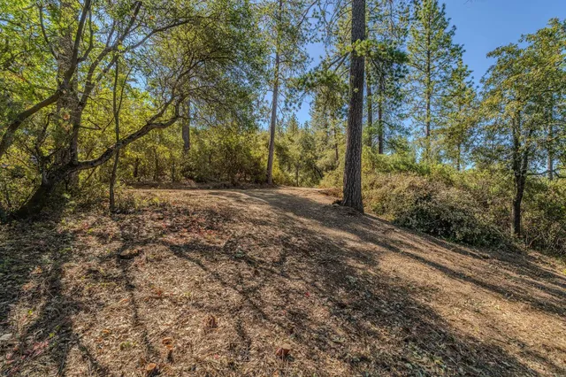 $47,500 | 0 Manzanita Road, Sutter Creek, CA 95685