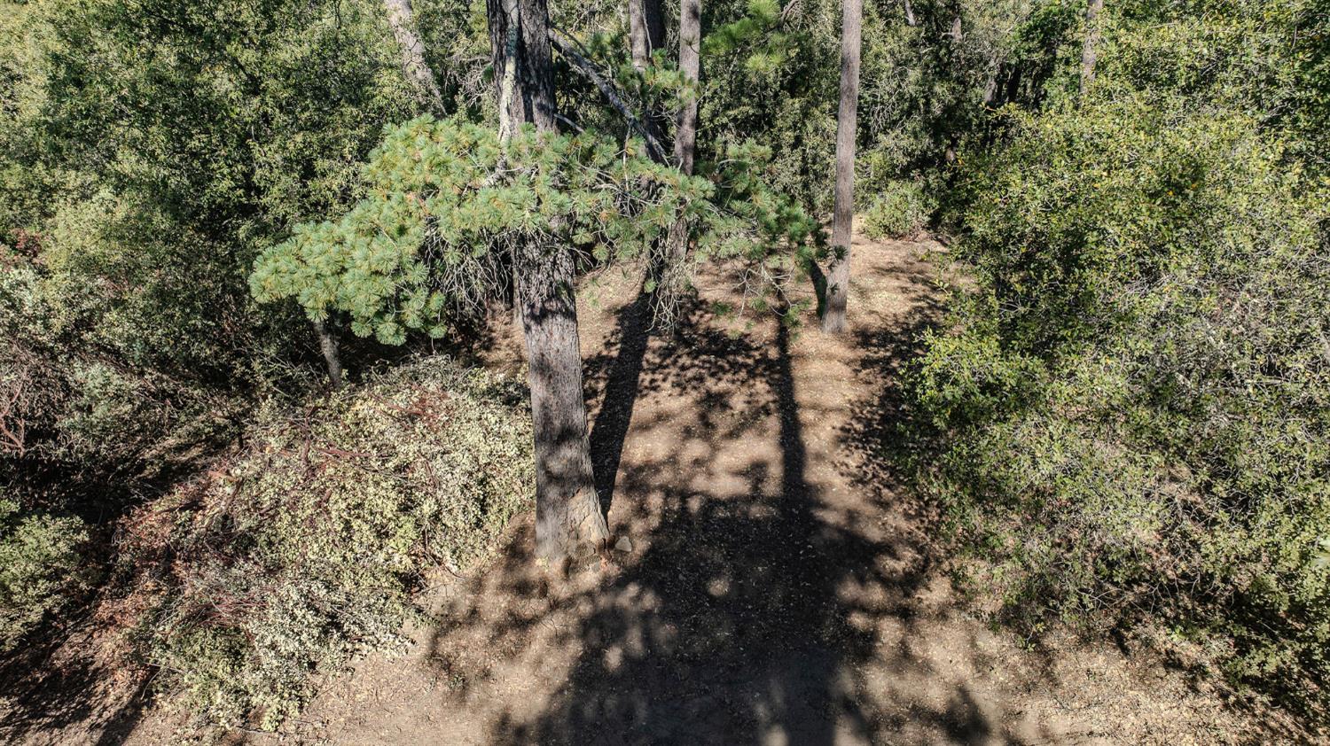 0 Manzanita Road Sutter Creek, CA 95685 - Photo 10 of 28 a view of a house with a lush green forest