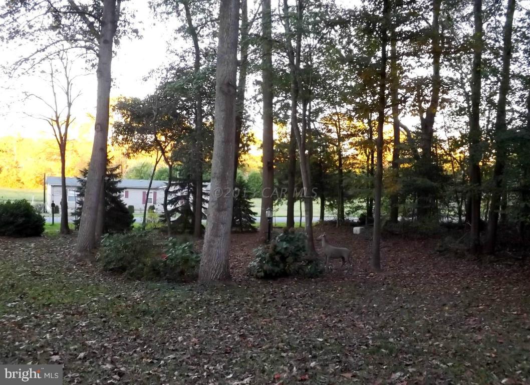 10032 Orchard Road Berlin, MD 21811 - Photo 14 of 14 Gallery Image 14