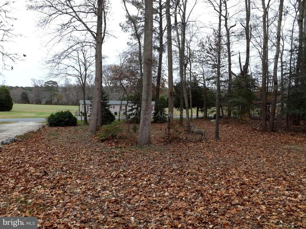 10032 Orchard Road Berlin, MD 21811 - Photo 10 of 14 Gallery Image 10