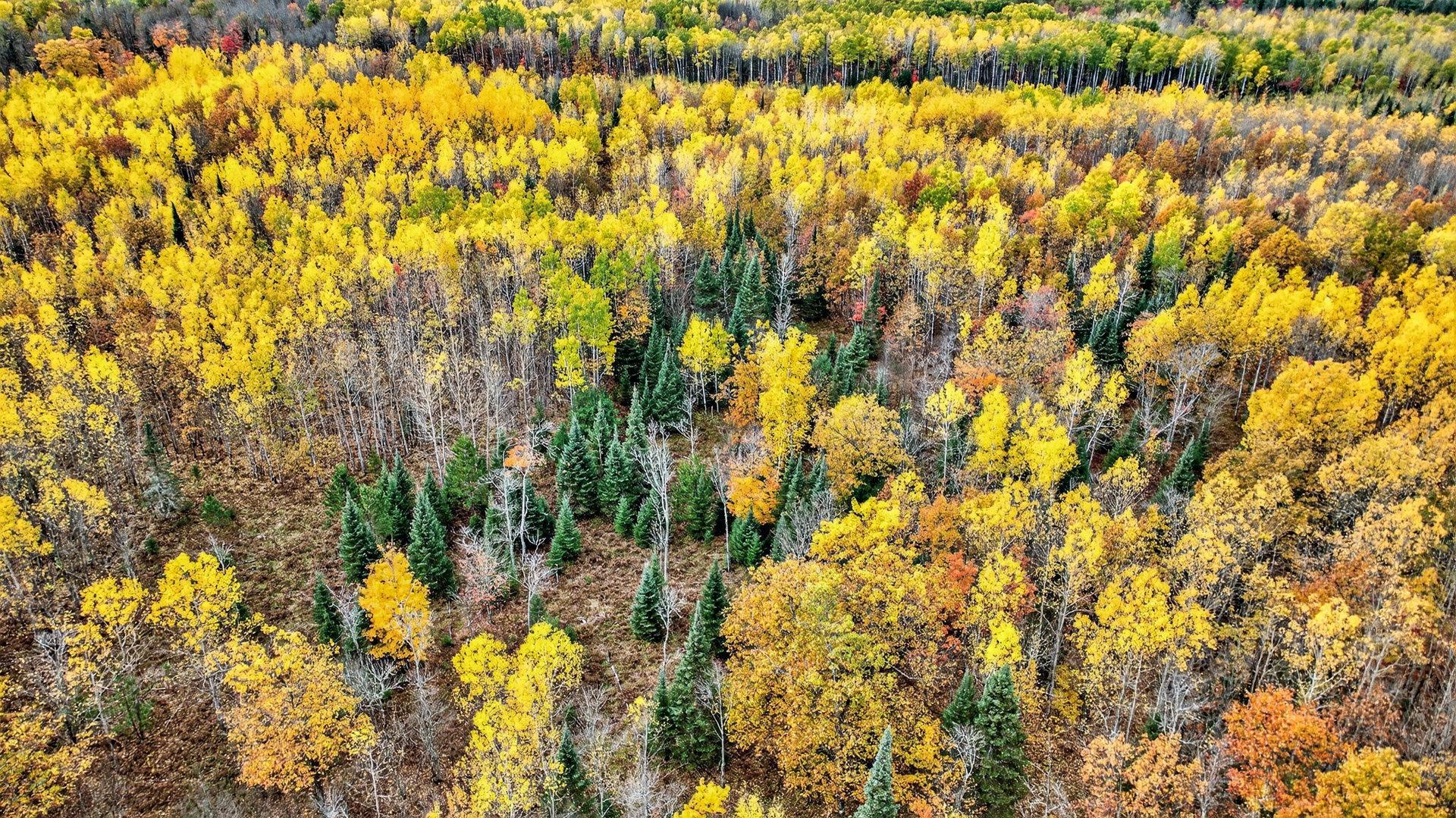 1495 Bain Road Brule, WI 54820 - Photo 39 of 48