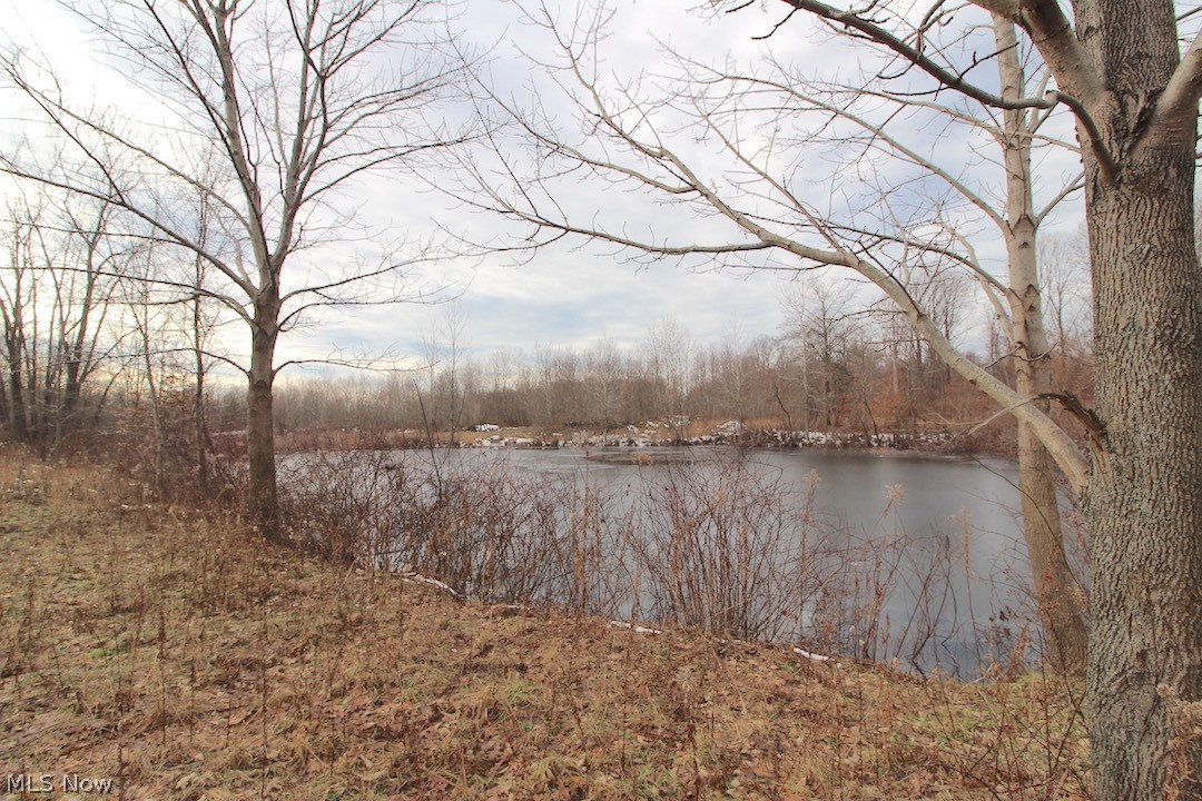 7636 Center Road Ashtabula, OH 44004 - Photo 28 of 35 Gallery Image 28
