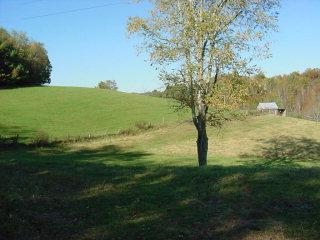 0 Huckleberry Ridge Road Northeast Floyd, VA 24091 - Photo 2 of 4 Additional View