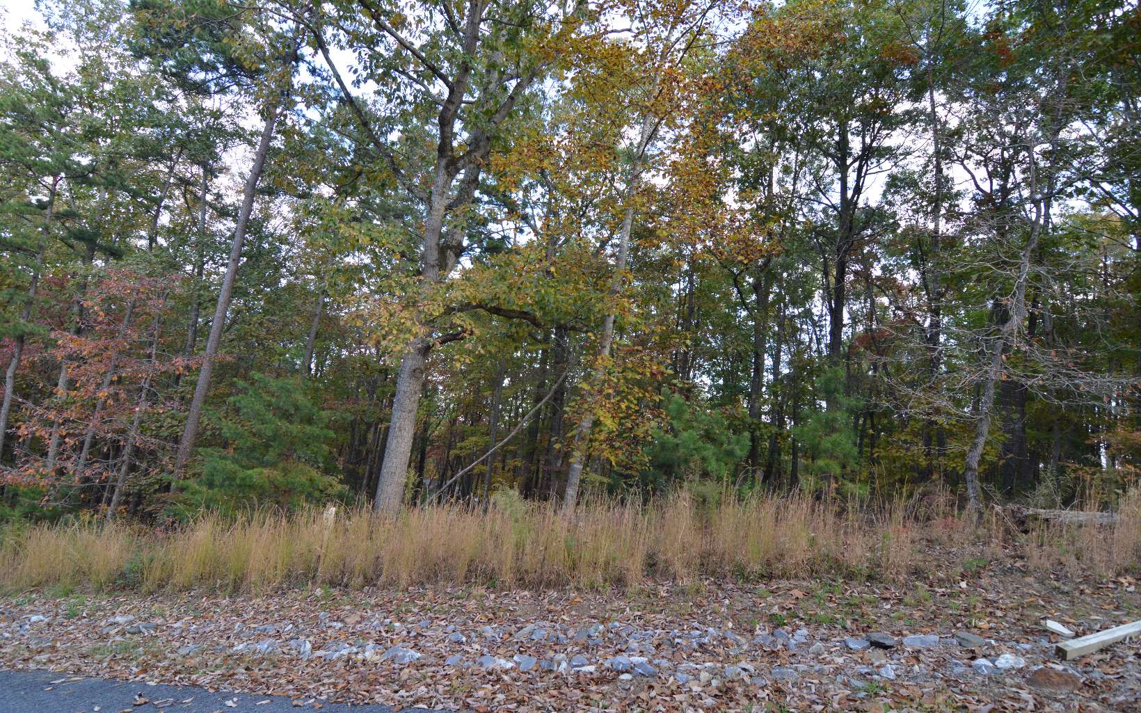 Lot 2 Serenity Ridge Lane Blairsville, GA 30512 - Photo 1 of 8 Main View