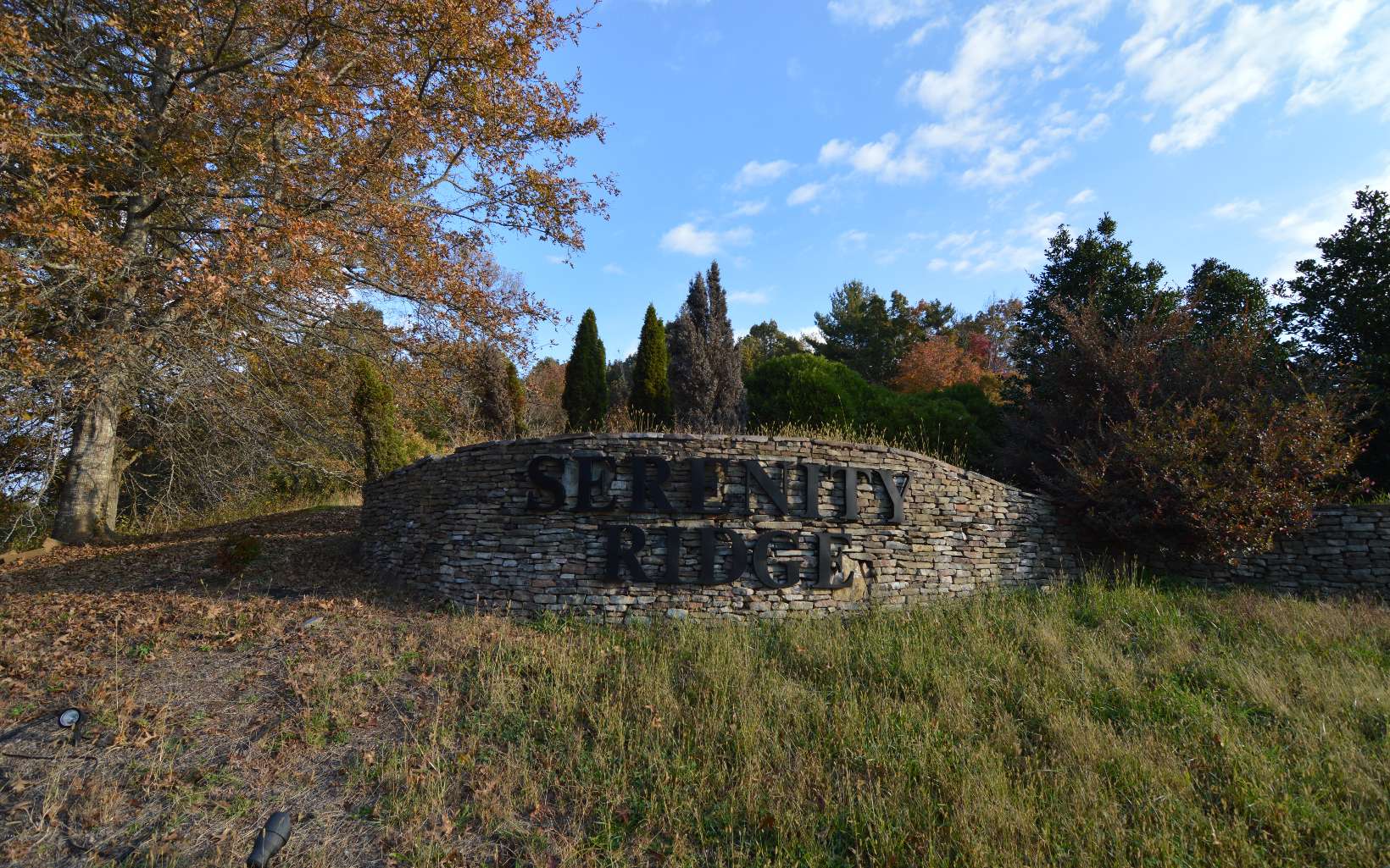 Lot 2 Serenity Ridge Lane Blairsville, GA 30512 - Photo 2 of 8 Additional View