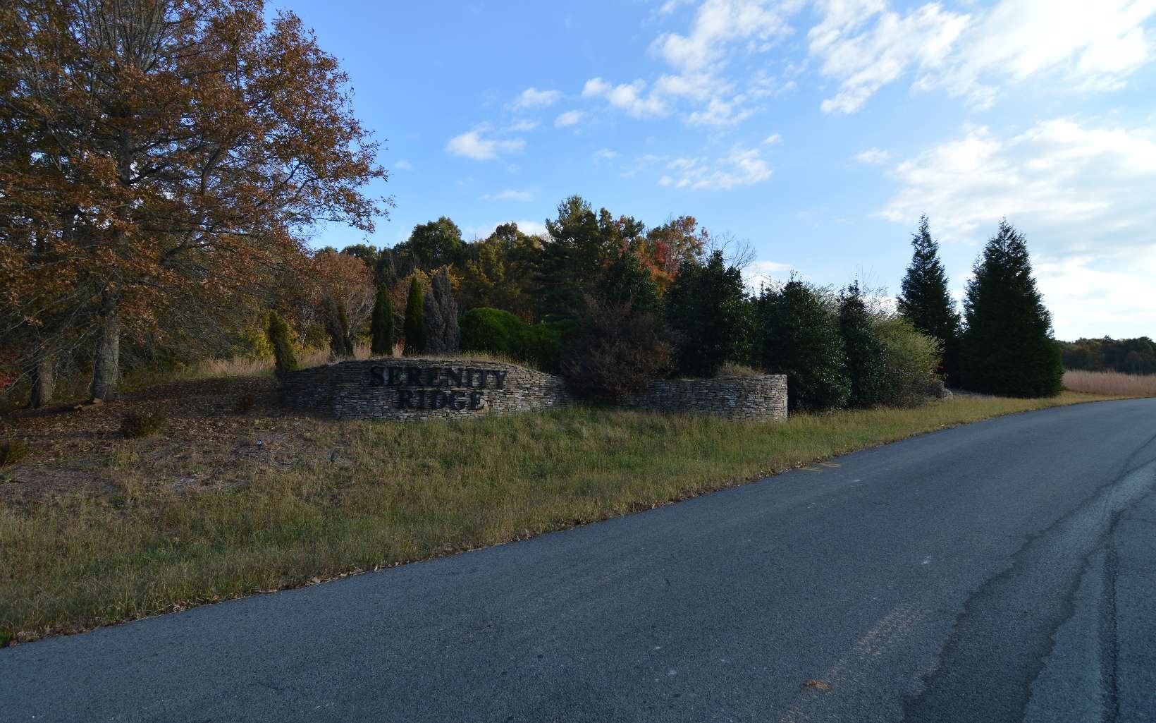 Lot 2 Serenity Ridge Lane Blairsville, GA 30512 - Photo 3 of 8 Additional View