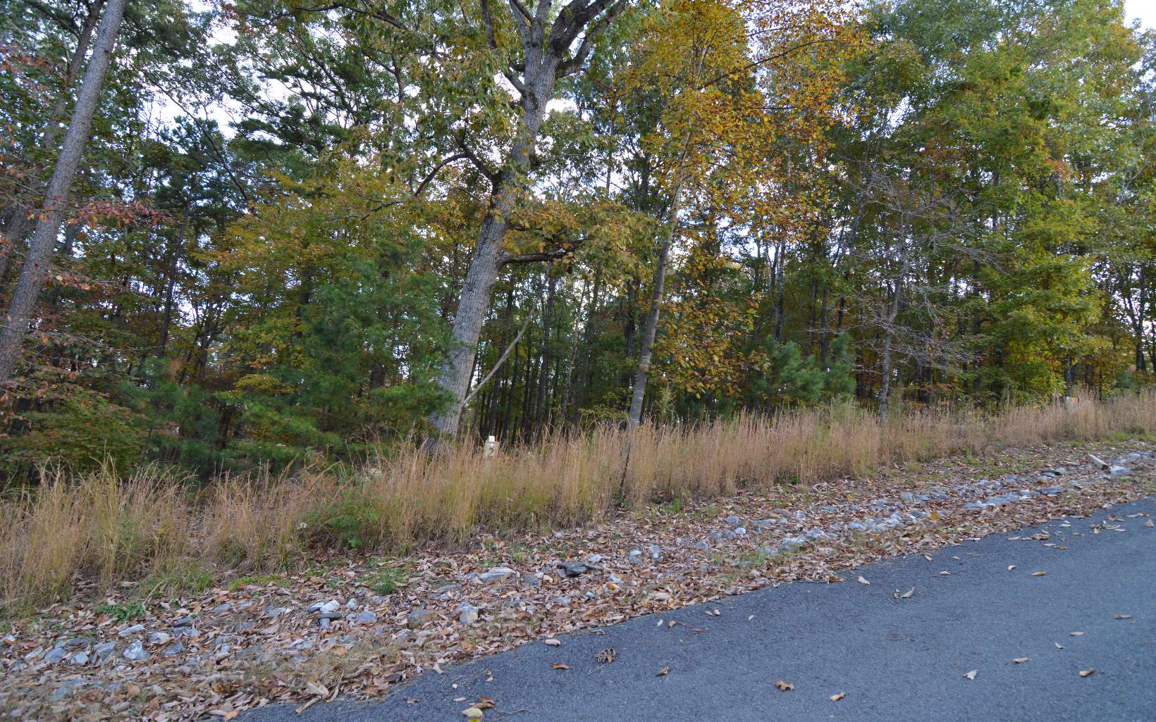 Lot 2 Serenity Ridge Lane Blairsville, GA 30512 - Photo 6 of 8 Additional View