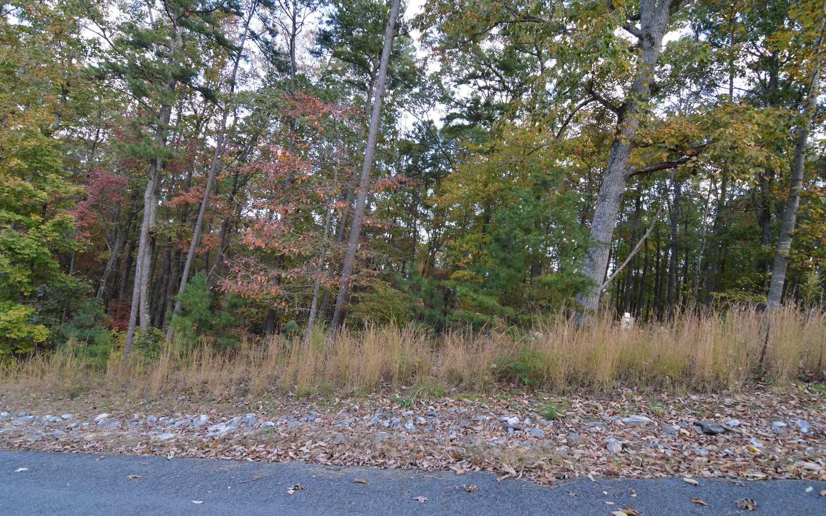 Lot 2 Serenity Ridge Lane Blairsville, GA 30512 - Photo 7 of 8 Additional View