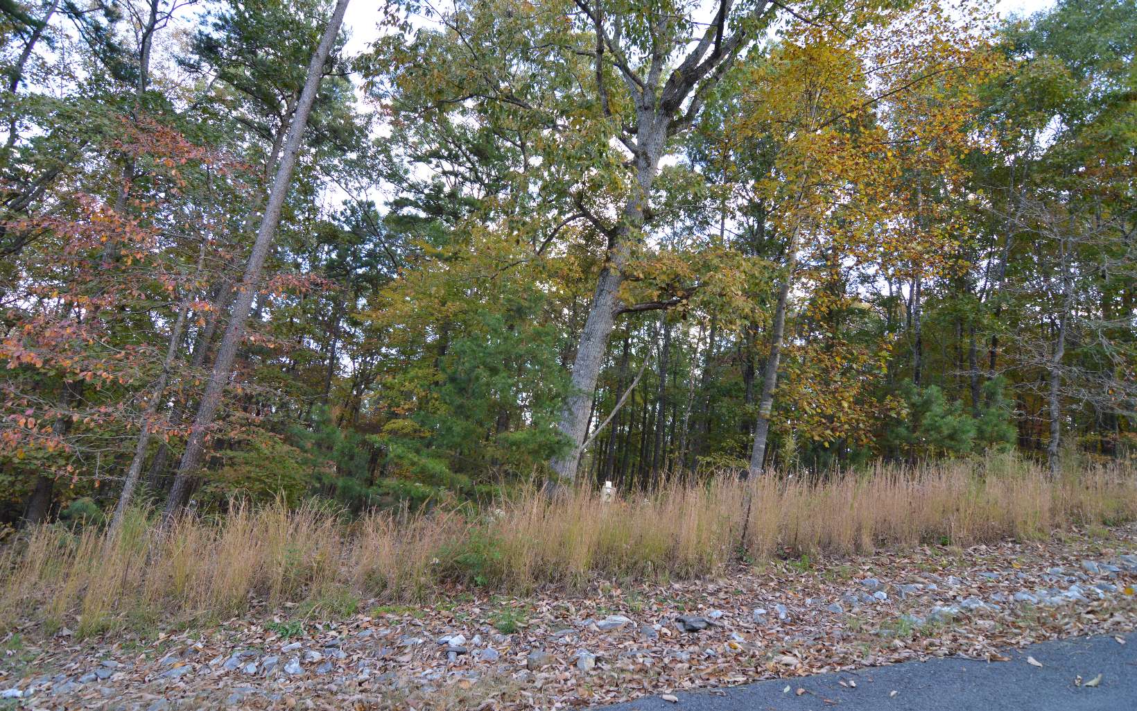 Lot 2 Serenity Ridge Lane Blairsville, GA 30512 - Photo 8 of 8 Additional View