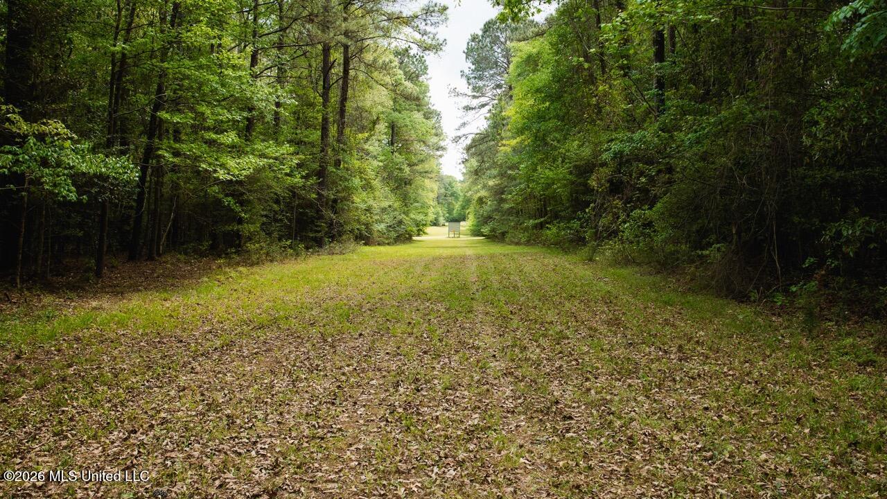 1979 Leman Road Oakdale, LA 71463 - Photo 34 of 44 0R6C9964 Large
