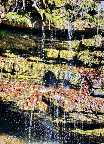 a view of swimming pool with a patio and garden