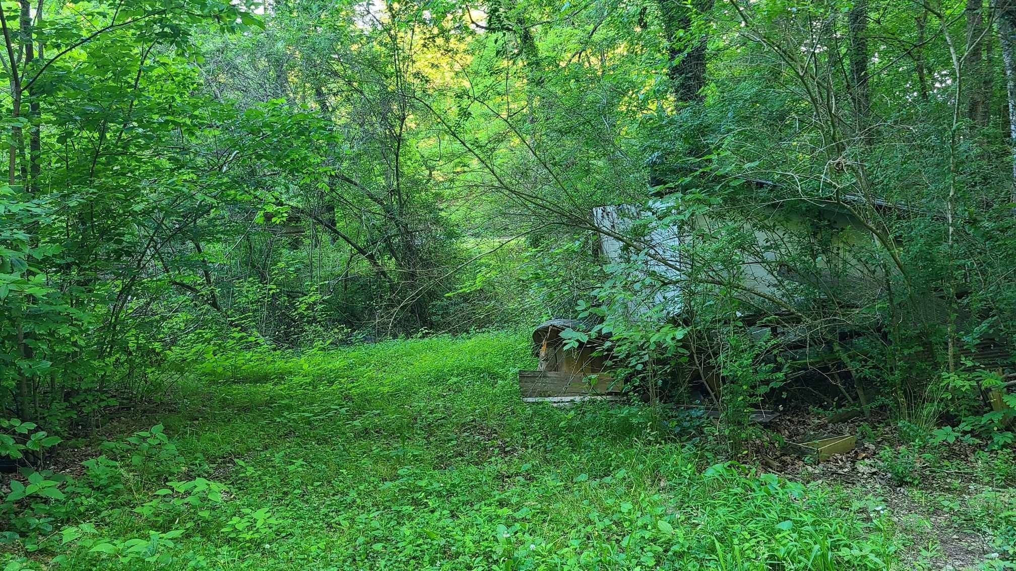 2024 Powdermill Hill Road Lawrenceburg, TN 38464 - Photo 15 of 30 a green field with lots of trees
