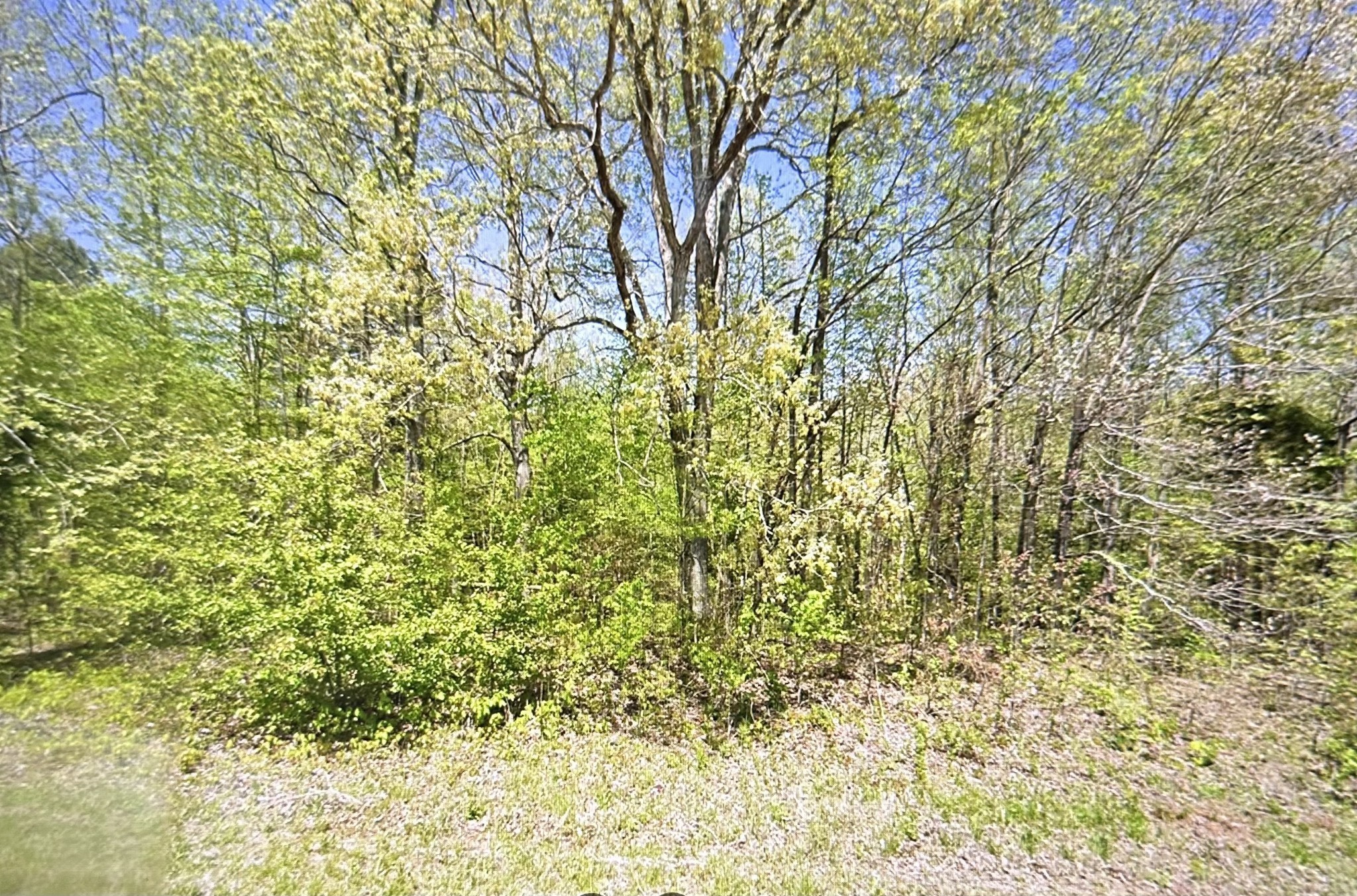 2024 Powdermill Hill Road Lawrenceburg, TN 38464 - Photo 2 of 30 a view of a yard with a tree