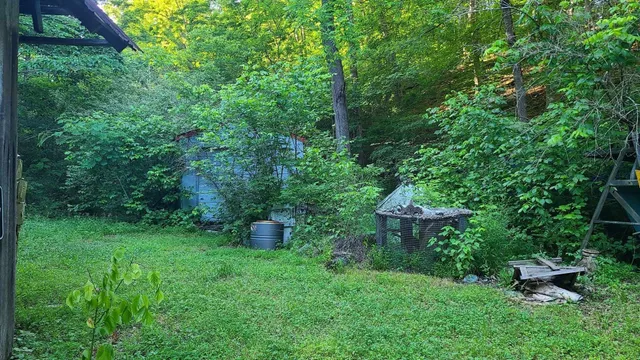 a plant that is sitting in the middle of a garden