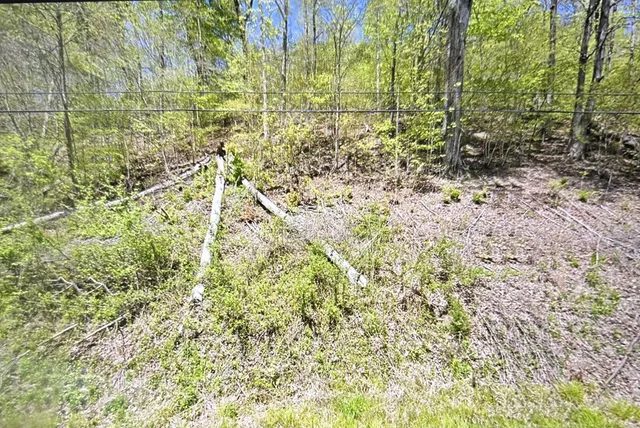 a view of a yard with a tree