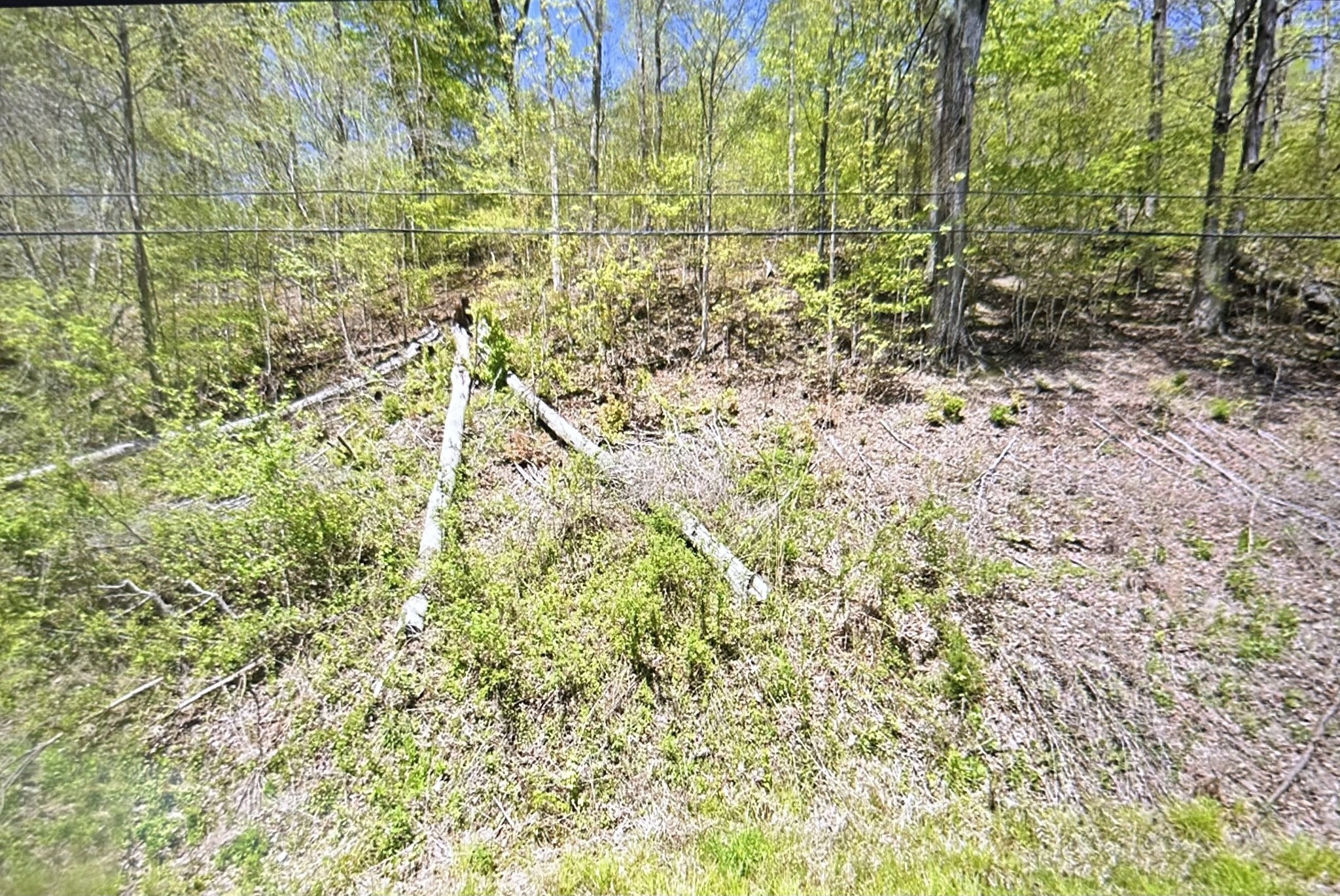 2024 Powdermill Hill Road Lawrenceburg, TN 38464 - Photo 3 of 30 a view of a yard with a tree