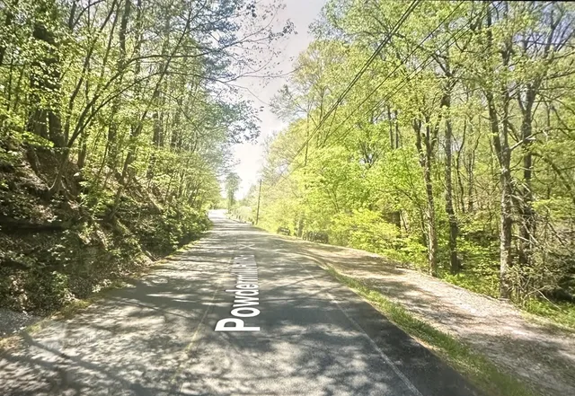 a view of a yard with large trees