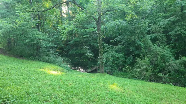 a view of a lush green space