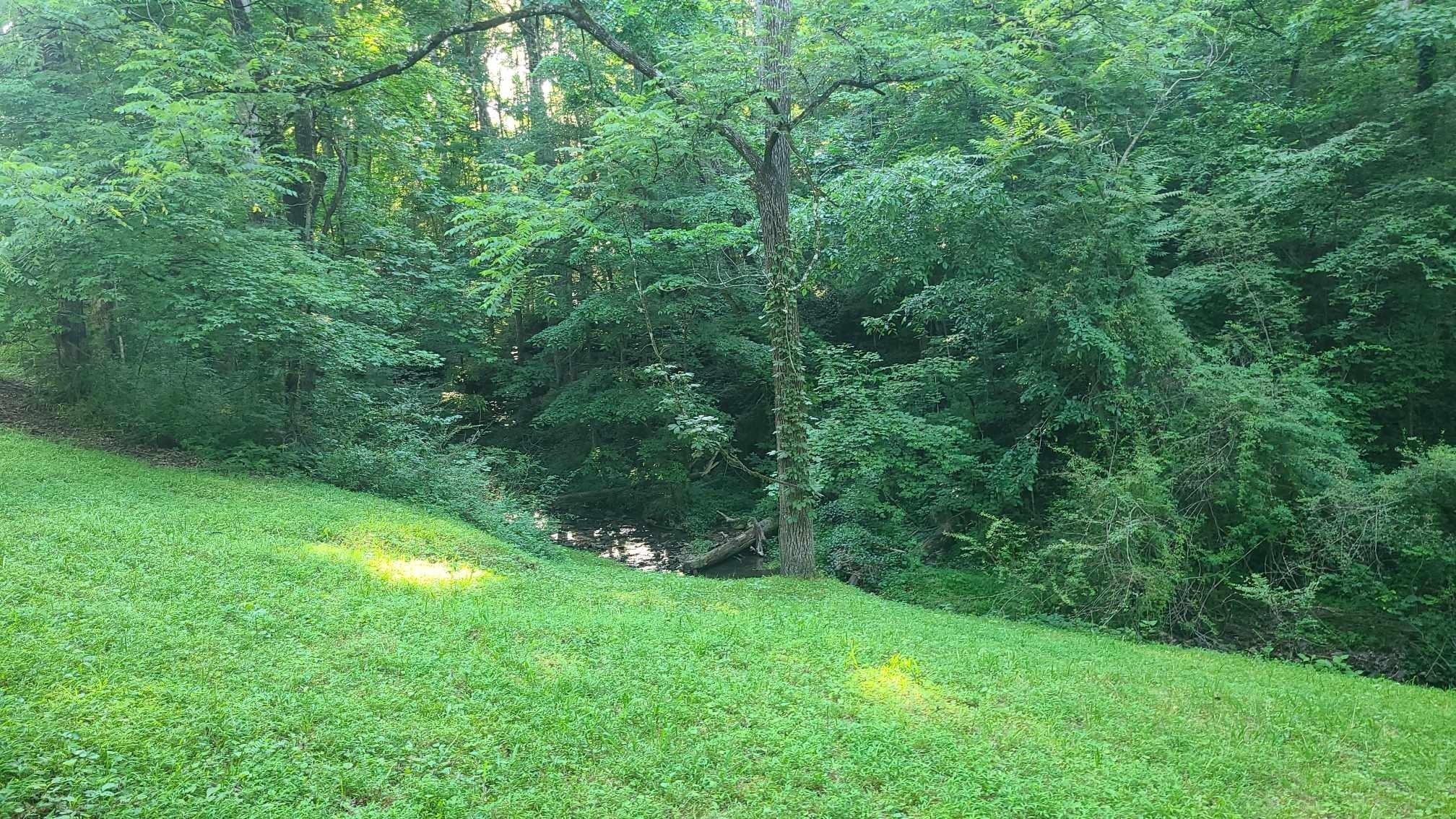 2024 Powdermill Hill Road Lawrenceburg, TN 38464 - Photo 6 of 30 a view of a lush green space