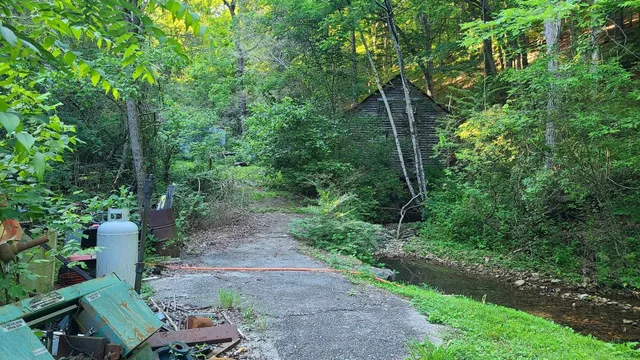 a view of a backyard with trees