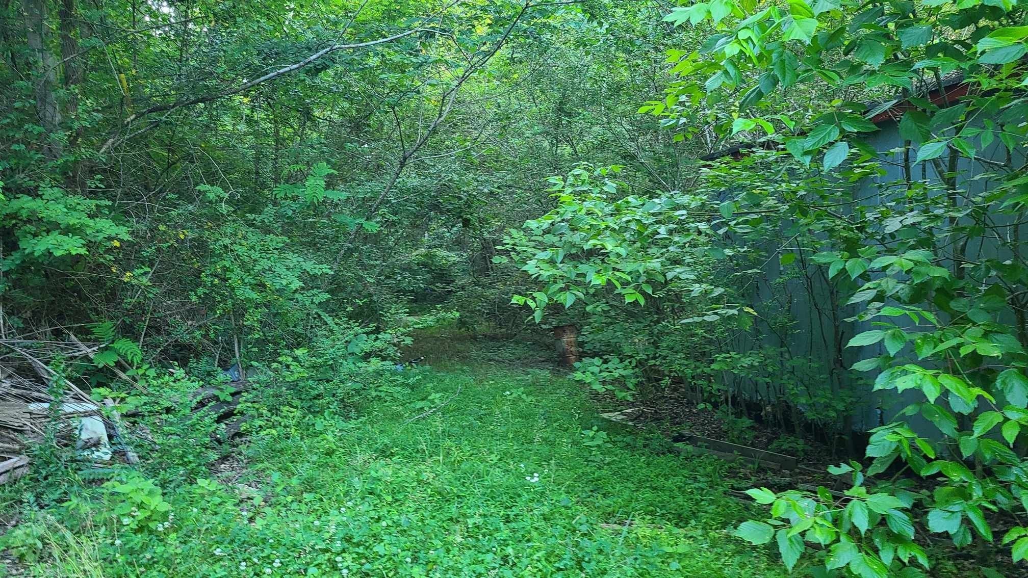 2024 Powdermill Hill Road Lawrenceburg, TN 38464 - Photo 10 of 30 a view of a lush green forest