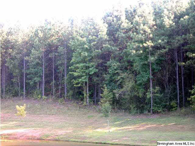0 Lees Bridge Road, Unit 27 ACRES Delta, AL 36258 - Photo 6 of 8