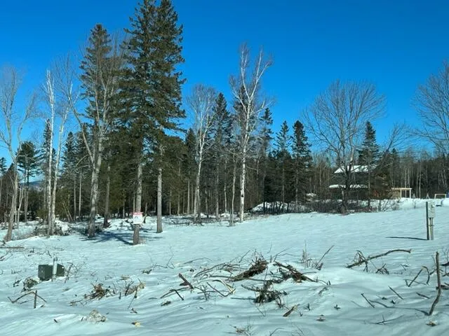 $209,000 | Lot 4 Eva D Lane, Rangeley, ME 04970