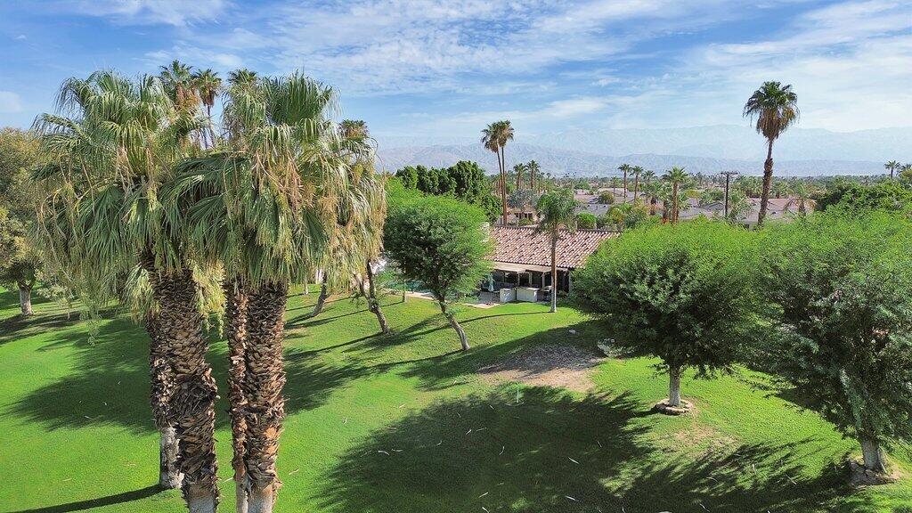 43761 Port Maria Road Bermuda Dunes, CA 92203 - Photo 42 of 50 a view of a garden with a tree