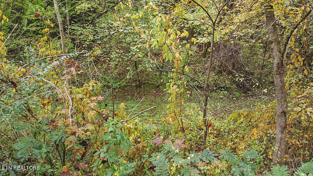 1 Flat Branch Road Sevierville, TN 37876 - Photo 18 of 26 Gallery Image 18