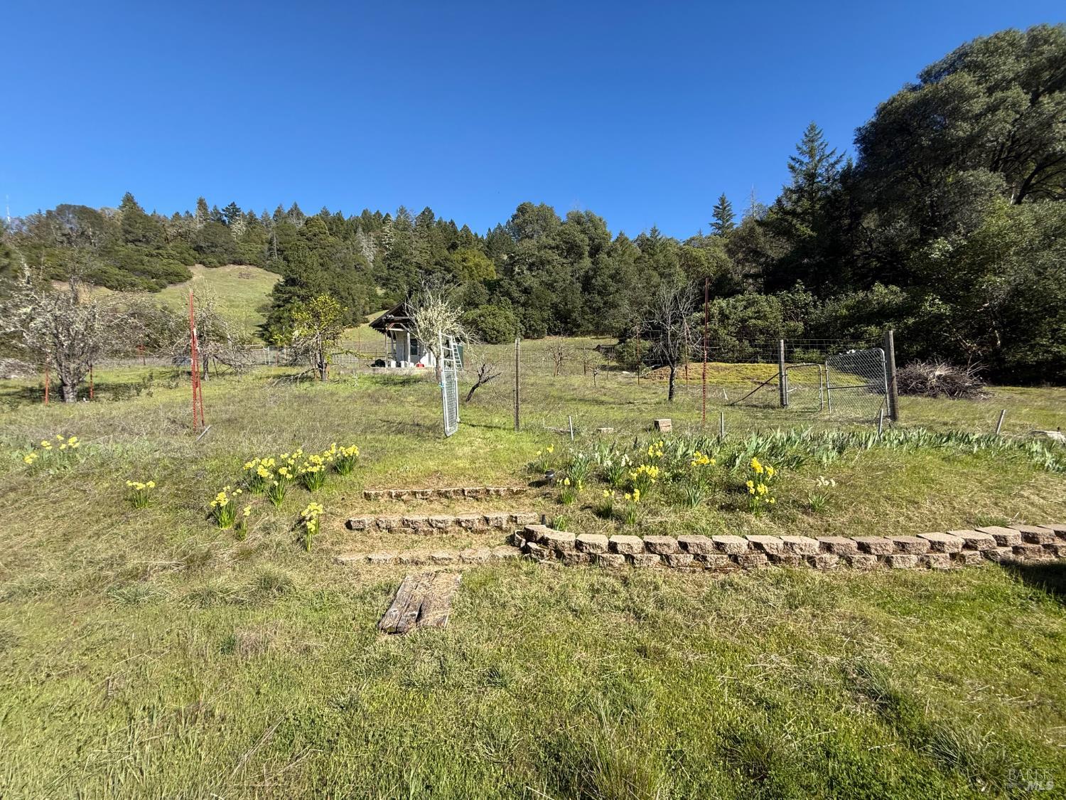 46960 Fox Rock Road Laytonville, CA 95454 - Photo 15 of 55