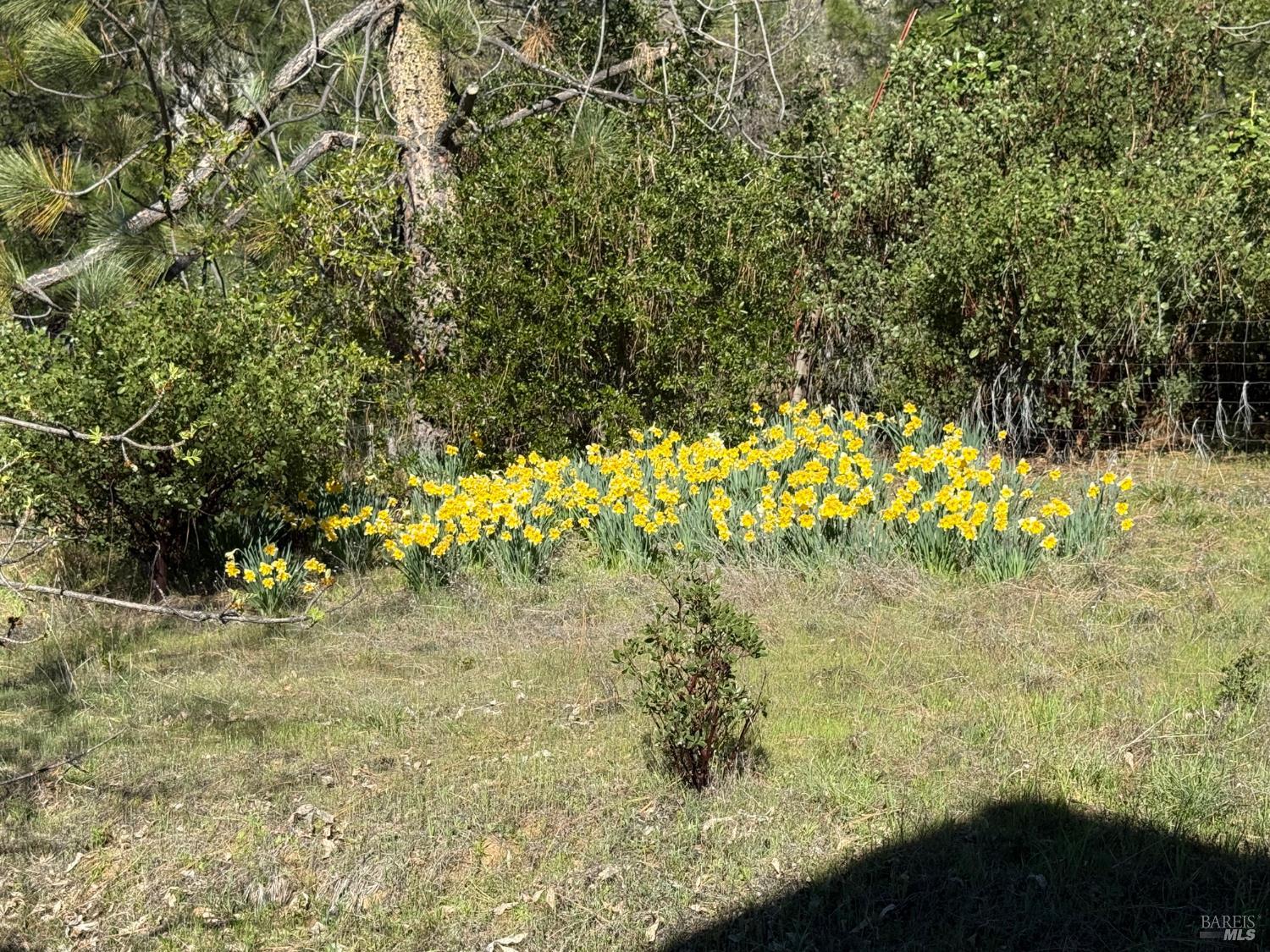 46960 Fox Rock Road Laytonville, CA 95454 - Photo 37 of 55