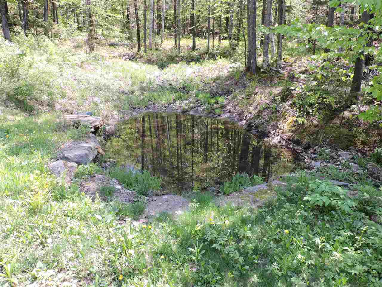 980 Stevens Road Bridgewater, VT 05035 - Photo 25 of 26