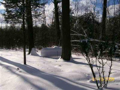 15048 Seymour Road Linden, MI 48451 - Photo 3 of 4 20186472-2.JPG