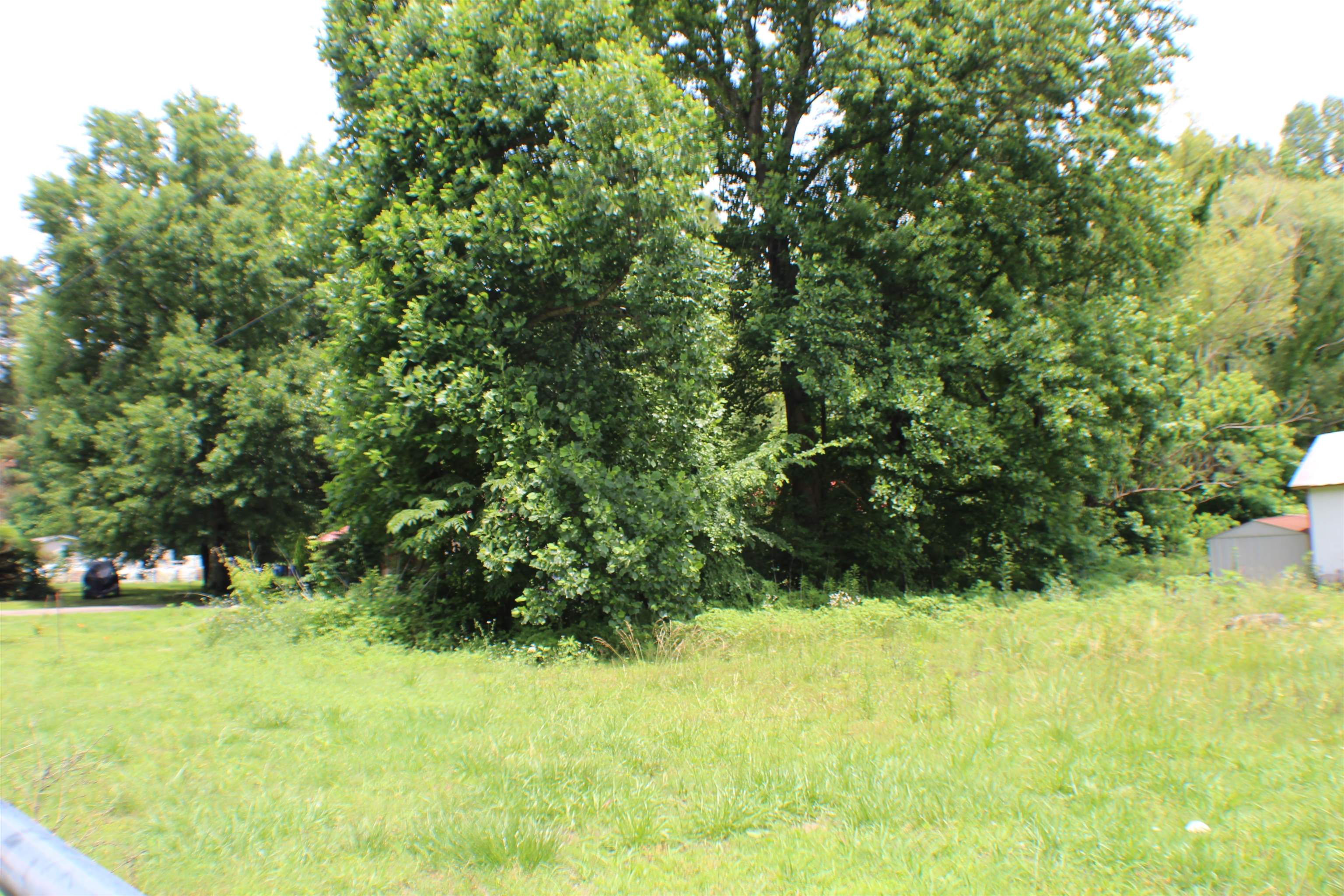 2456 Ray Bluff Road Millington, TN 38053 - Photo 2 of 3 Expansive green space featuring natural tree lines and mixed foliage