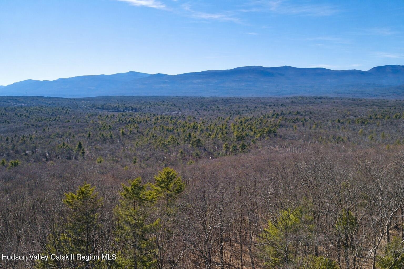 380 Easy Street Catskill, NY 12414 - Photo 54 of 57 a view of a lush green hillside and a houses